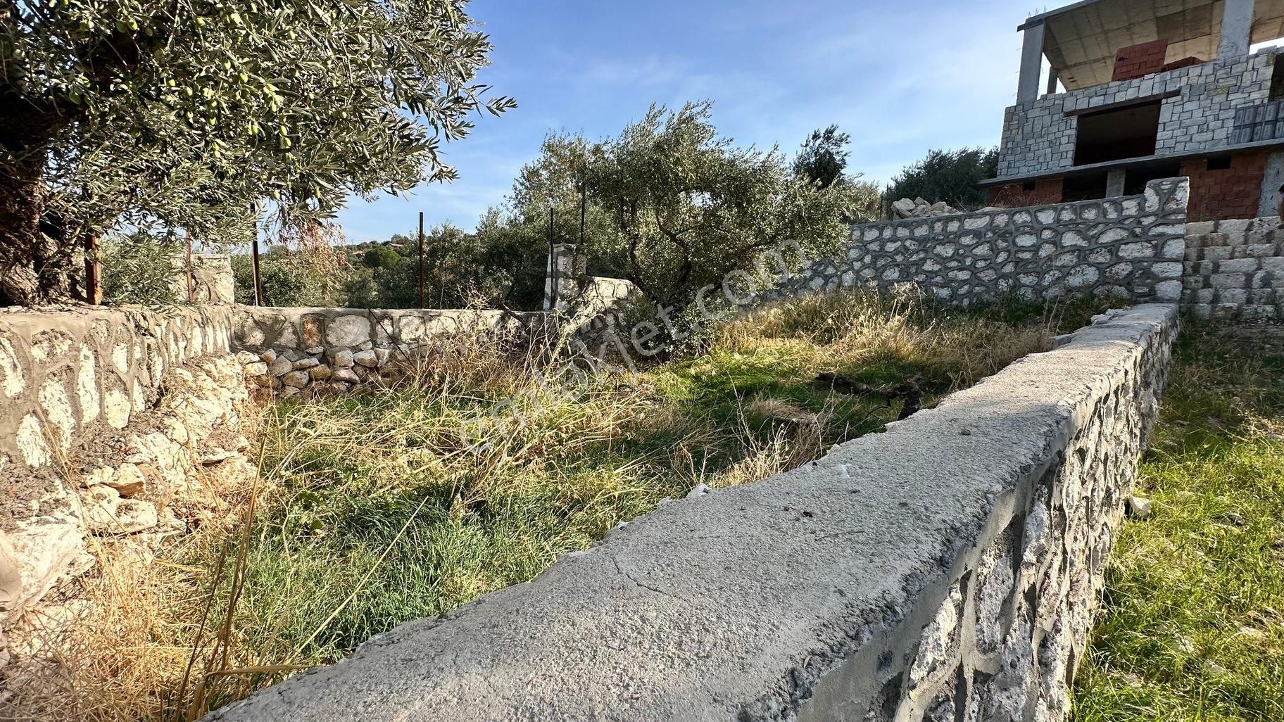 Çok Acill Sahibinden Satılık Urla Taşı Ev Ve Bahçe - Görsel 27