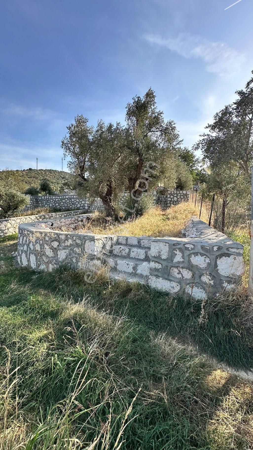 Çok Acill Sahibinden Satılık Urla Taşı Ev Ve Bahçe - Görsel 26