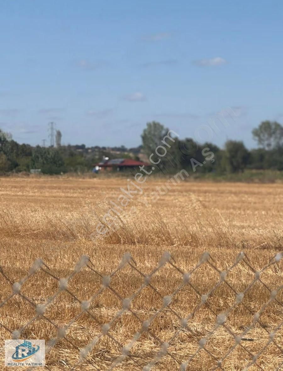 Yeni Lojistik Merkezine Komşu Parseller - Görsel 4