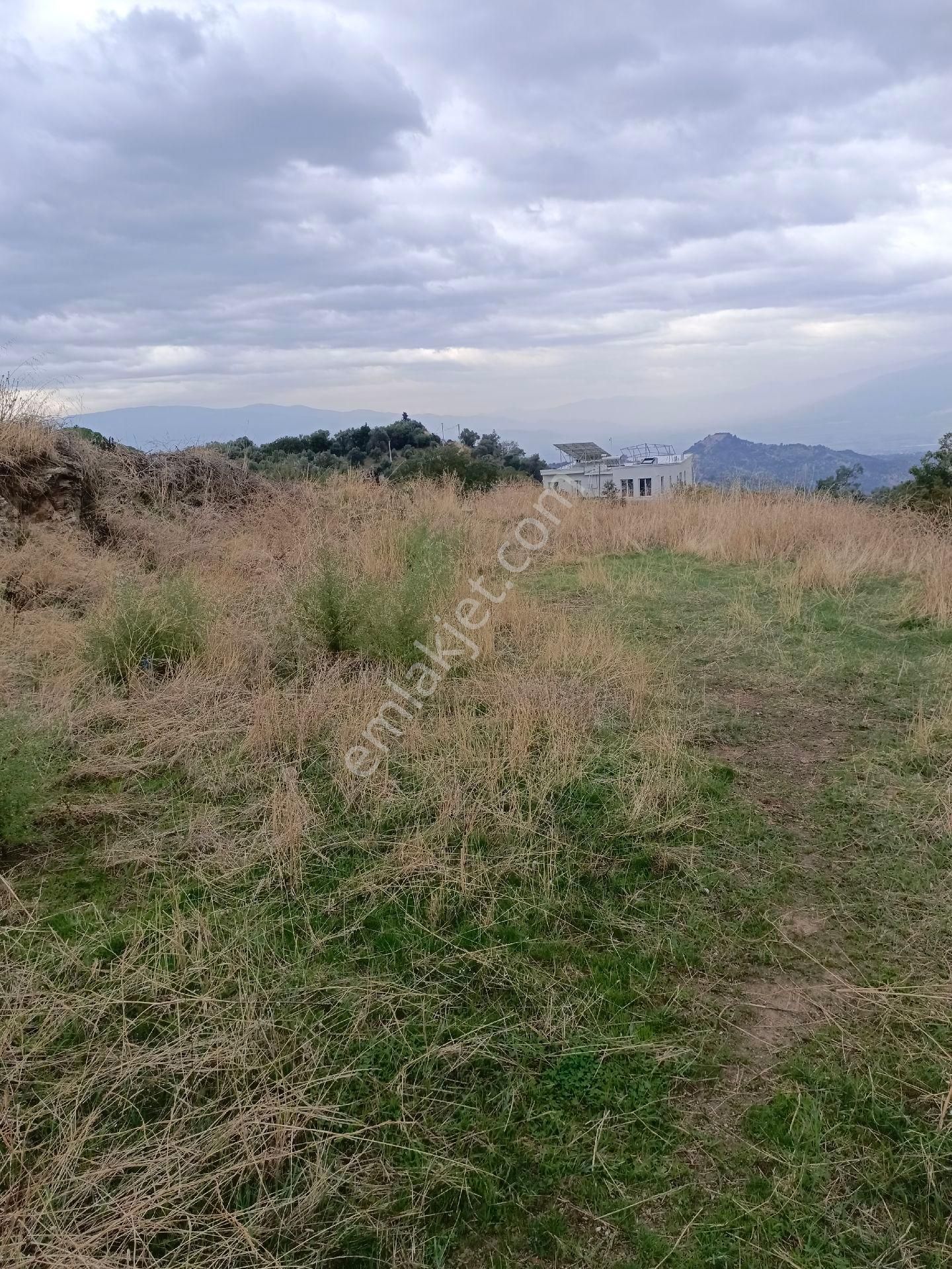 Aydın Nazilli Hasköy Mah Satılık - Görsel 8