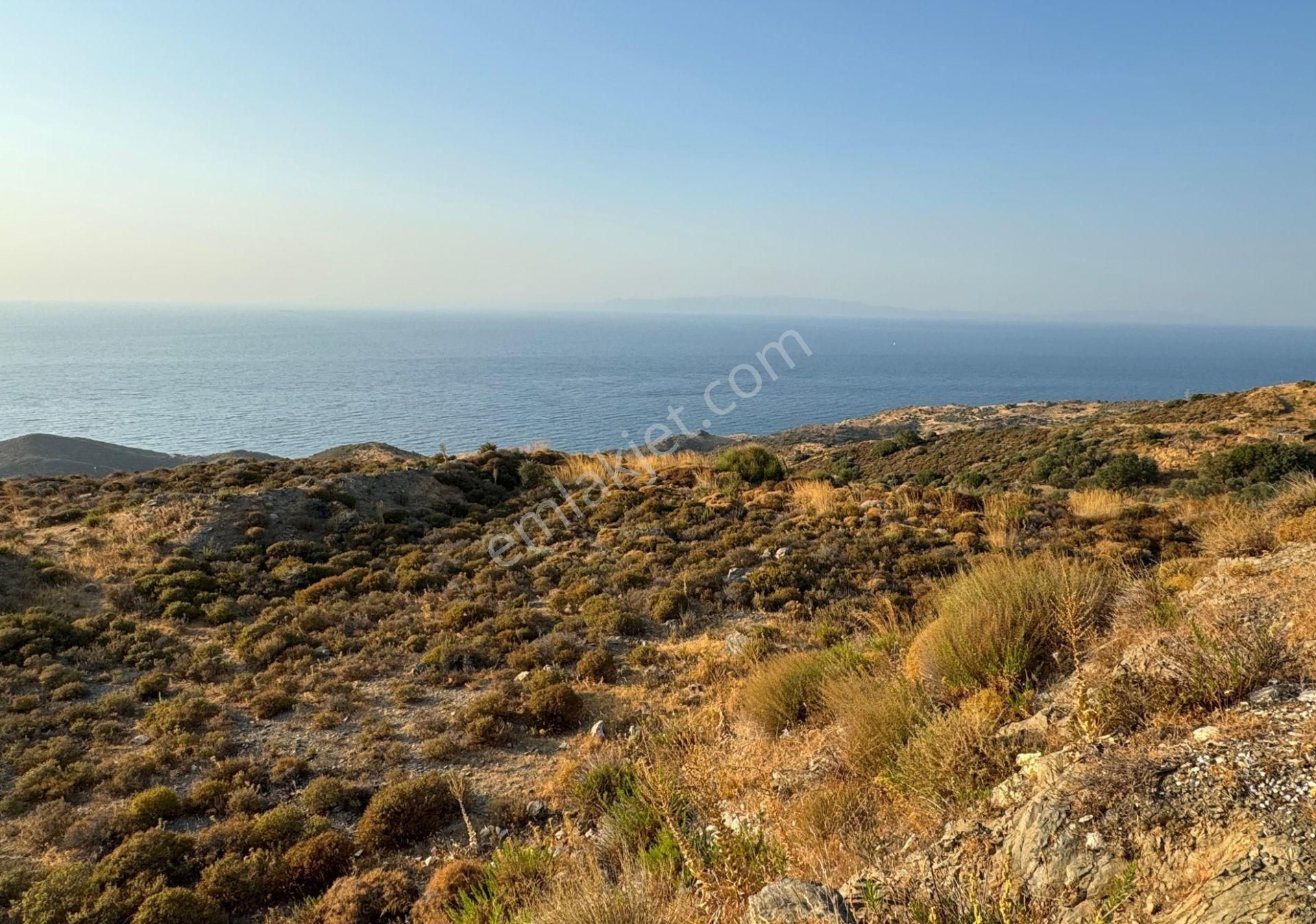 Karaburun'da Deniz Manzaralı Kadastral Yol Tarım İmarı Satılık Tarla - Görsel 6