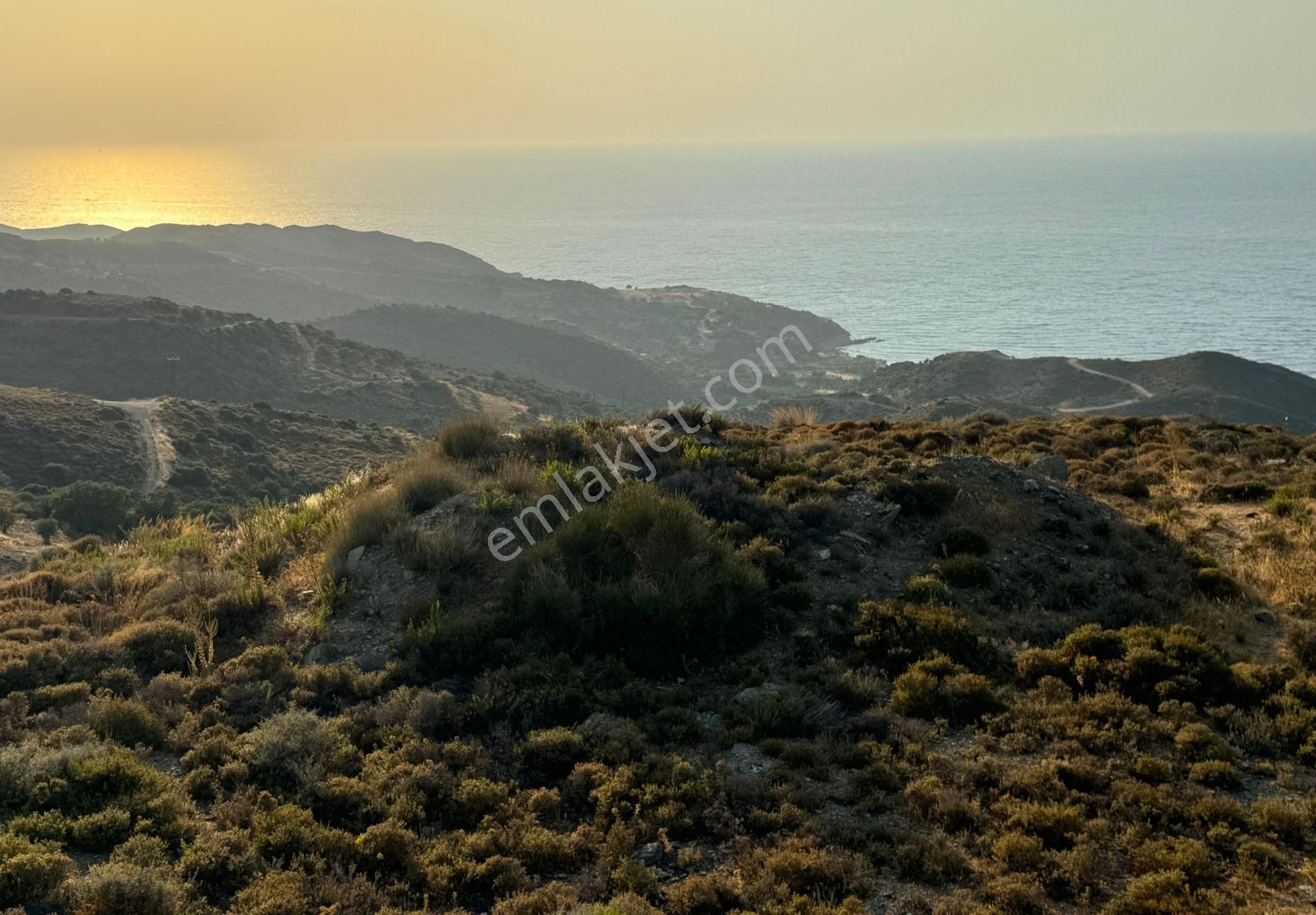 Karaburun'da Deniz Manzaralı Kadastral Yol Tarım İmarı Satılık Tarla - Görsel 4