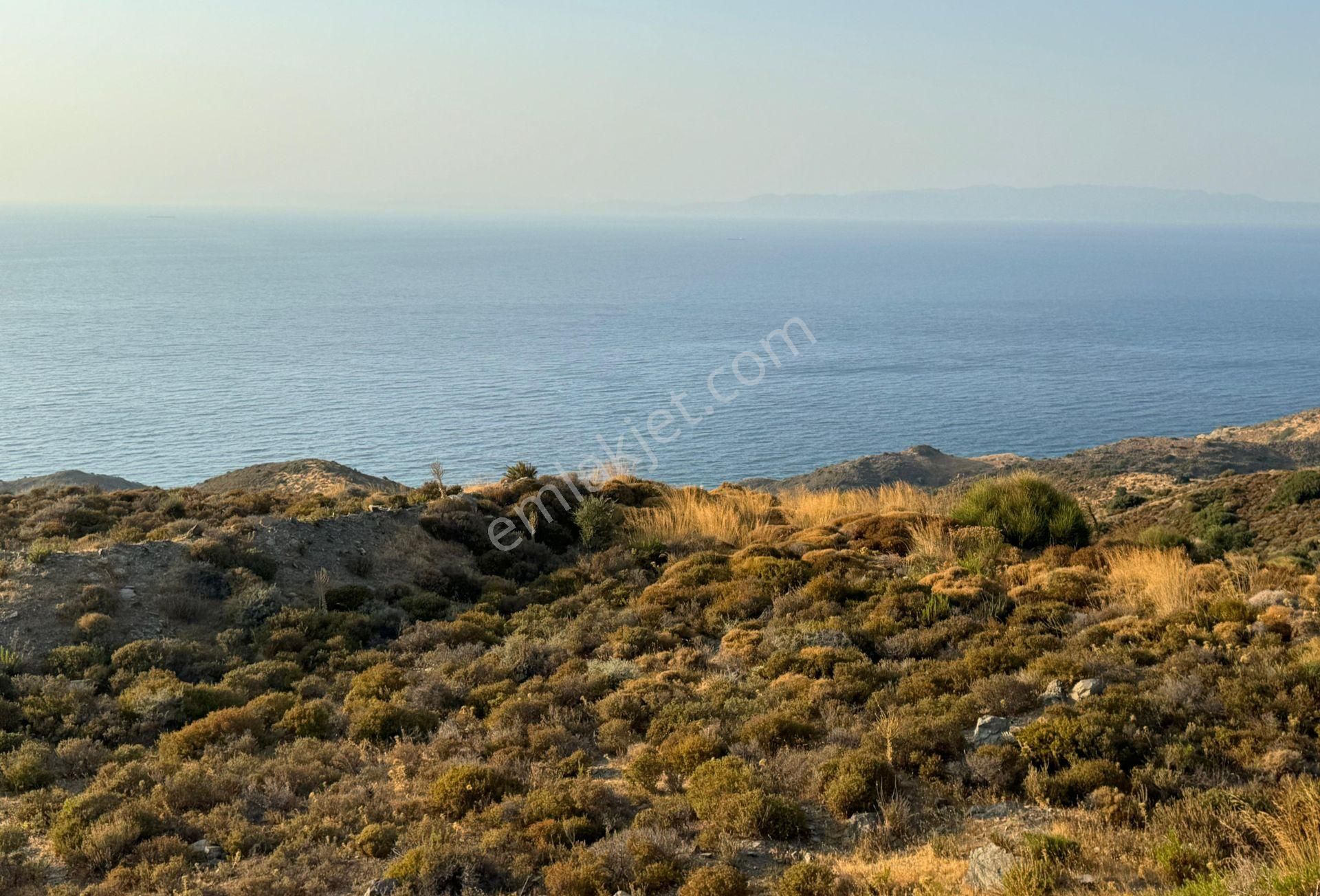 Karaburun'da Deniz Manzaralı Kadastral Yol Tarım İmarı Satılık Tarla - Görsel 5