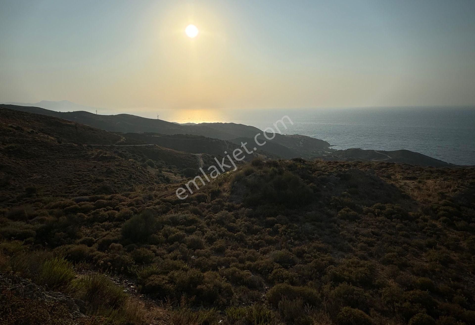 Karaburun'da Deniz Manzaralı Kadastral Yol Tarım İmarı Satılık Tarla - Görsel 2