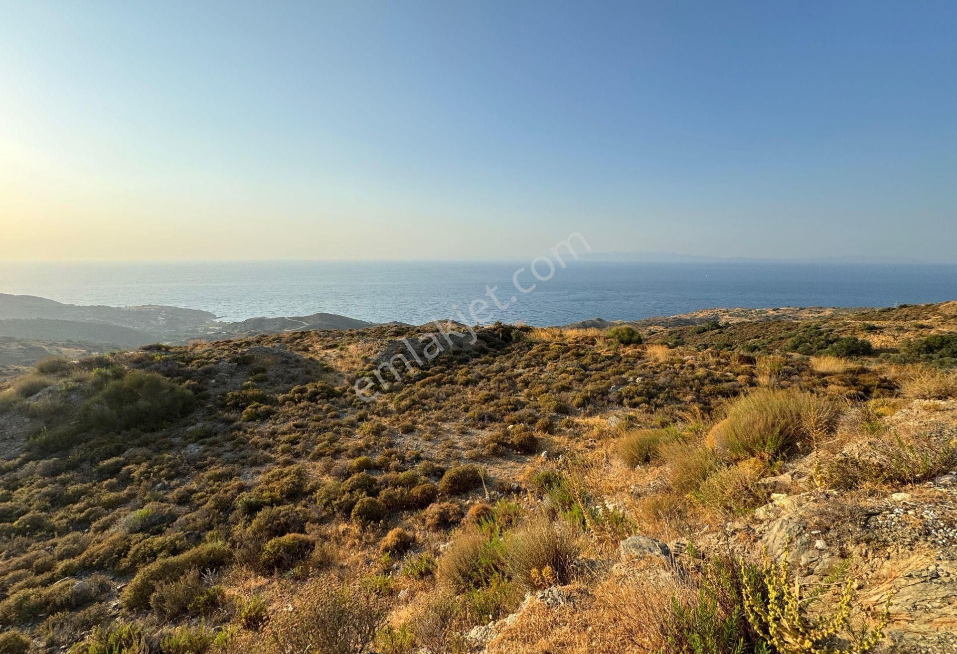 Karaburun'da Deniz Manzaralı Kadastral Yol Tarım İmarı Satılık Tarla - Görsel 7