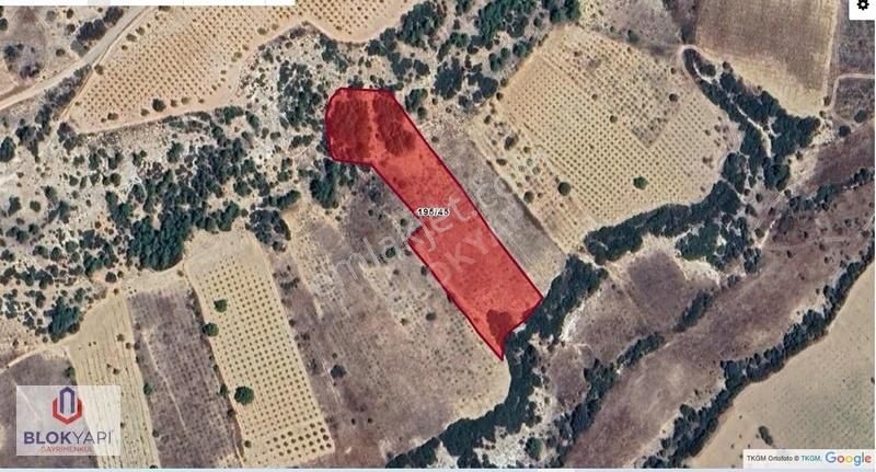 Blokyapı'dan Acil Satılık Yeşiloba'da 7500 M2 Alan Kazanır !