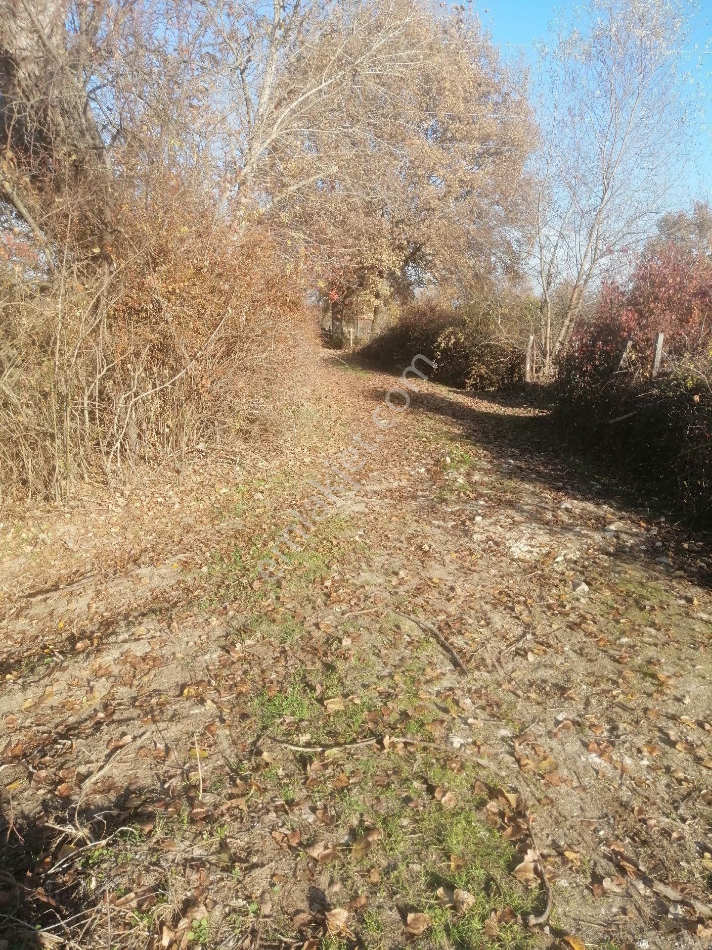 Kastamonu Merkeze 6-7 Km Has Köy Satılık Bahçe - Görsel 5