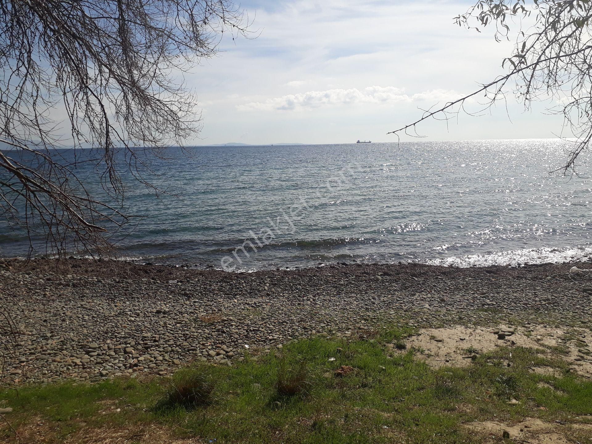 Tekirdağ Şarköy Mürefte Mh De Satılık Arsa