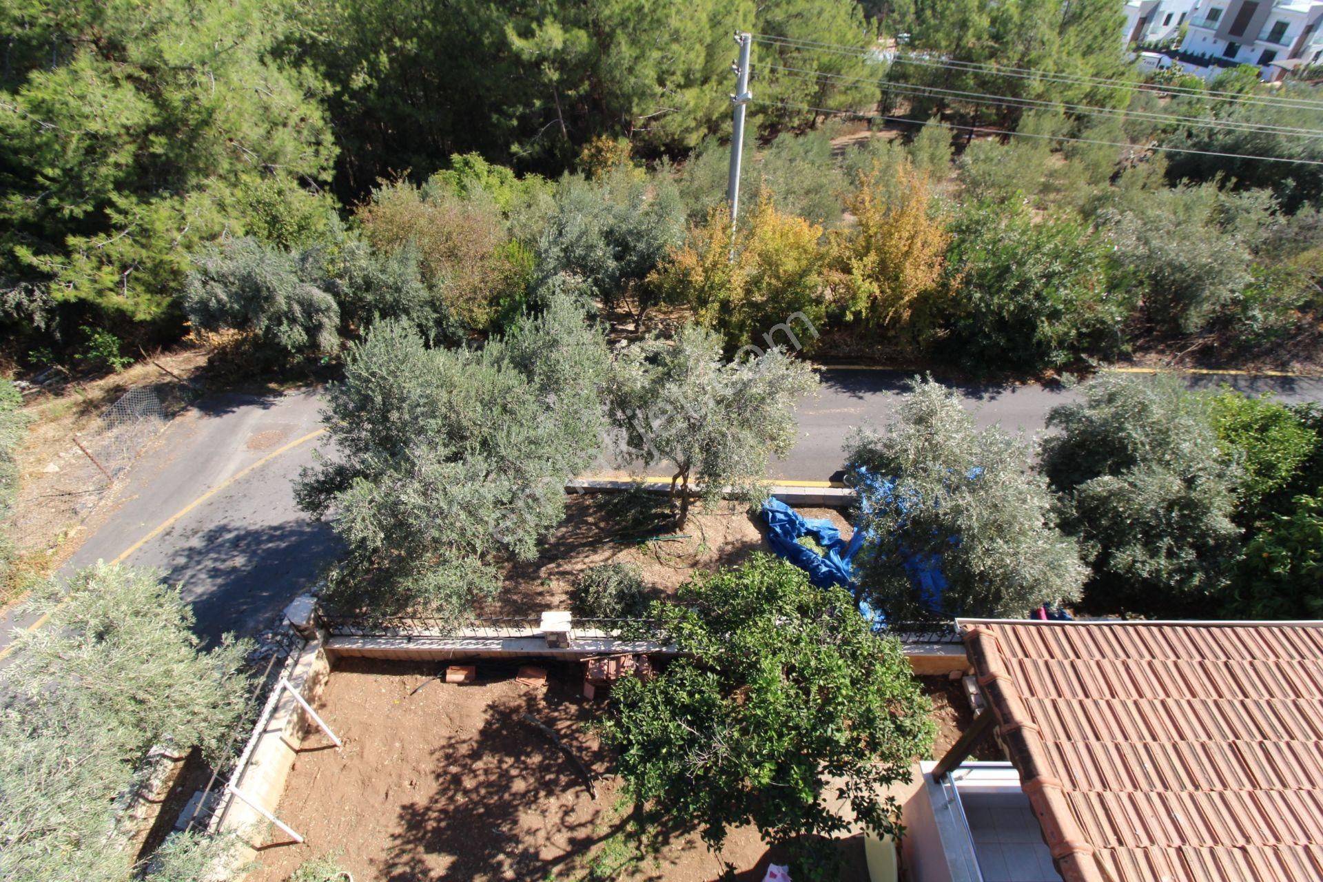 Aslan'dan Kuyulukta Doğa Ve Deniz Manzaralı Tripleks Villa - Görsel 34