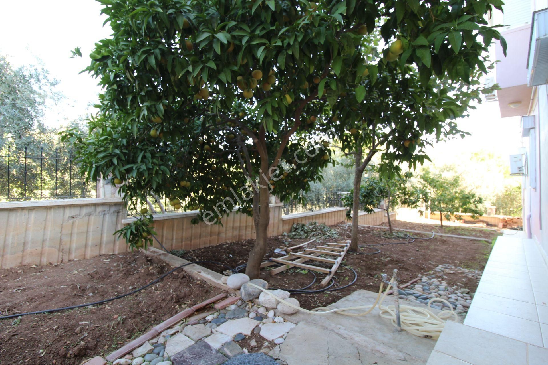 Aslan'dan Kuyulukta Doğa Ve Deniz Manzaralı Tripleks Villa - Görsel 32