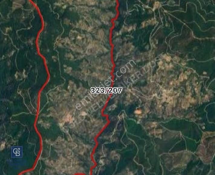 Bayındır Zeytinlik 1495 M2 - Görsel 4
