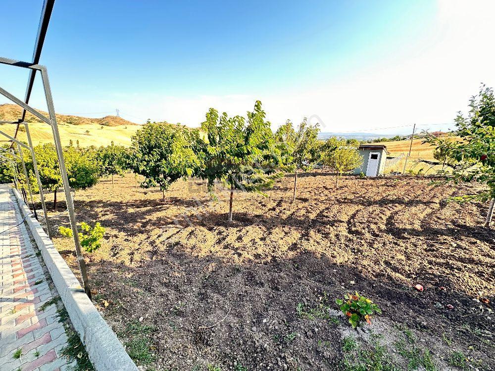 Güvenay – Çorum Kuruçay Yolu Satılık Villalı Bağ - Görsel 44