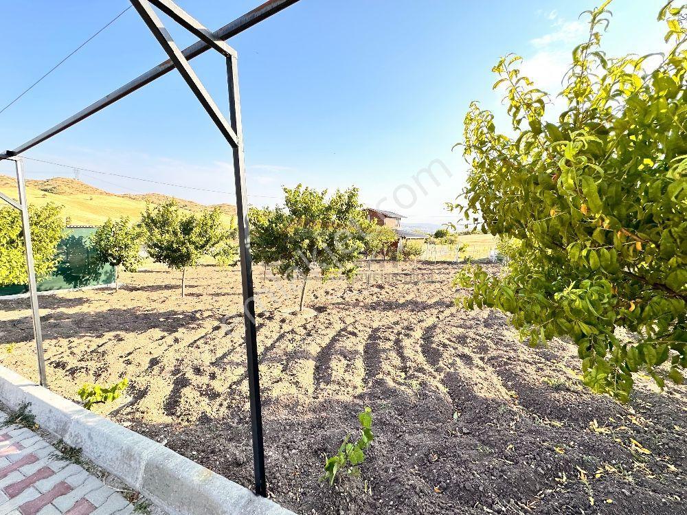 Güvenay – Çorum Kuruçay Yolu Satılık Villalı Bağ - Görsel 45