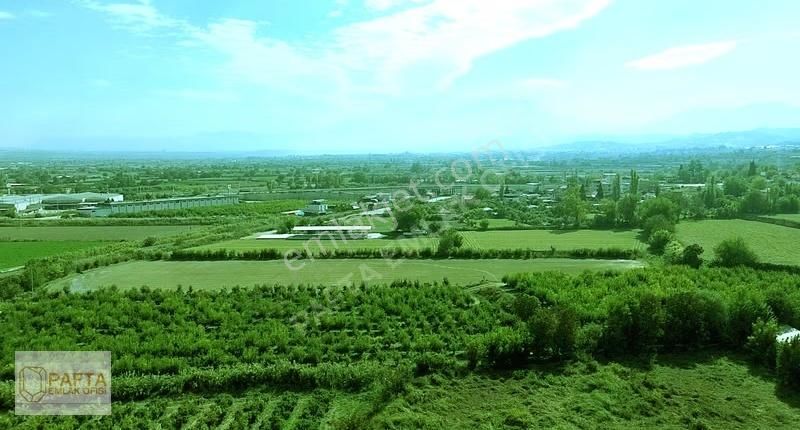 Korucukta Ana Yola Çok Yakın Satılık 7625m Zeytin Bahçesi - Görsel 7