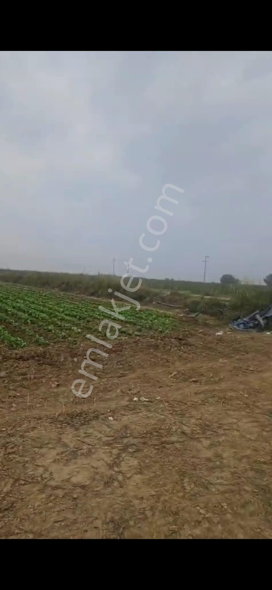 Oğuzay Emlak’tan – İzmir Tire Mahmutlar Köyü’nde Elektrikli Sulu Resmi Yollu Yatırımlık Tarla - Görsel 4