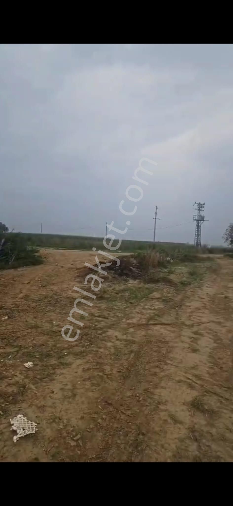Oğuzay Emlak’tan – İzmir Tire Mahmutlar Köyü’nde Elektrikli Sulu Resmi Yollu Yatırımlık Tarla - Görsel 8