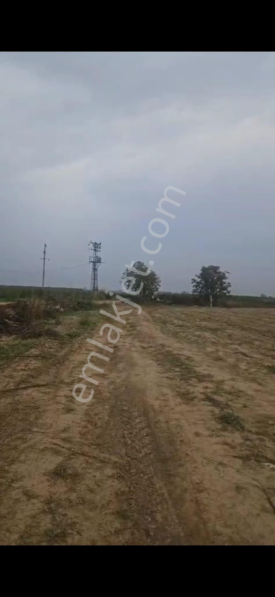 Oğuzay Emlak’tan – İzmir Tire Mahmutlar Köyü’nde Elektrikli Sulu Resmi Yollu Yatırımlık Tarla - Görsel 5