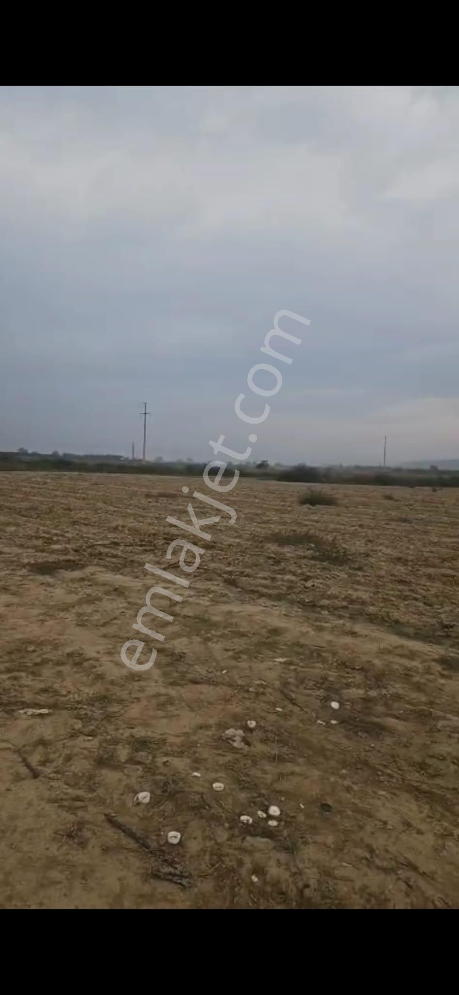 Oğuzay Emlak’tan – İzmir Tire Mahmutlar Köyü’nde Elektrikli Sulu Resmi Yollu Yatırımlık Tarla - Görsel 6