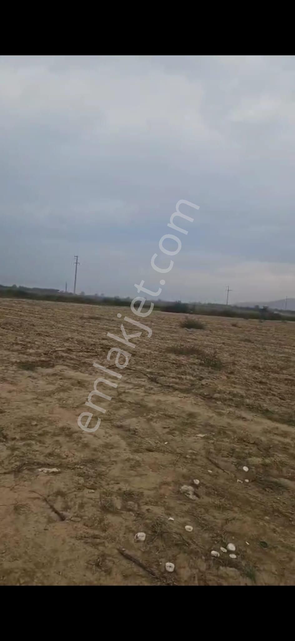 Oğuzay Emlak’tan – İzmir Tire Mahmutlar Köyü’nde Elektrikli Sulu Resmi Yollu Yatırımlık Tarla - Görsel 2