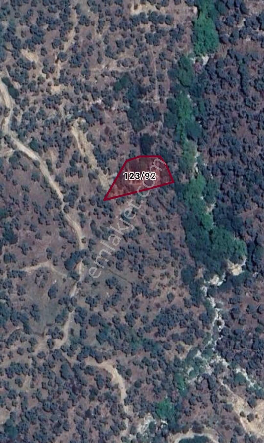 Doğayla İç İçe Yatırım Fırsatı! 901,31 M² Zeytinlik Satılık!