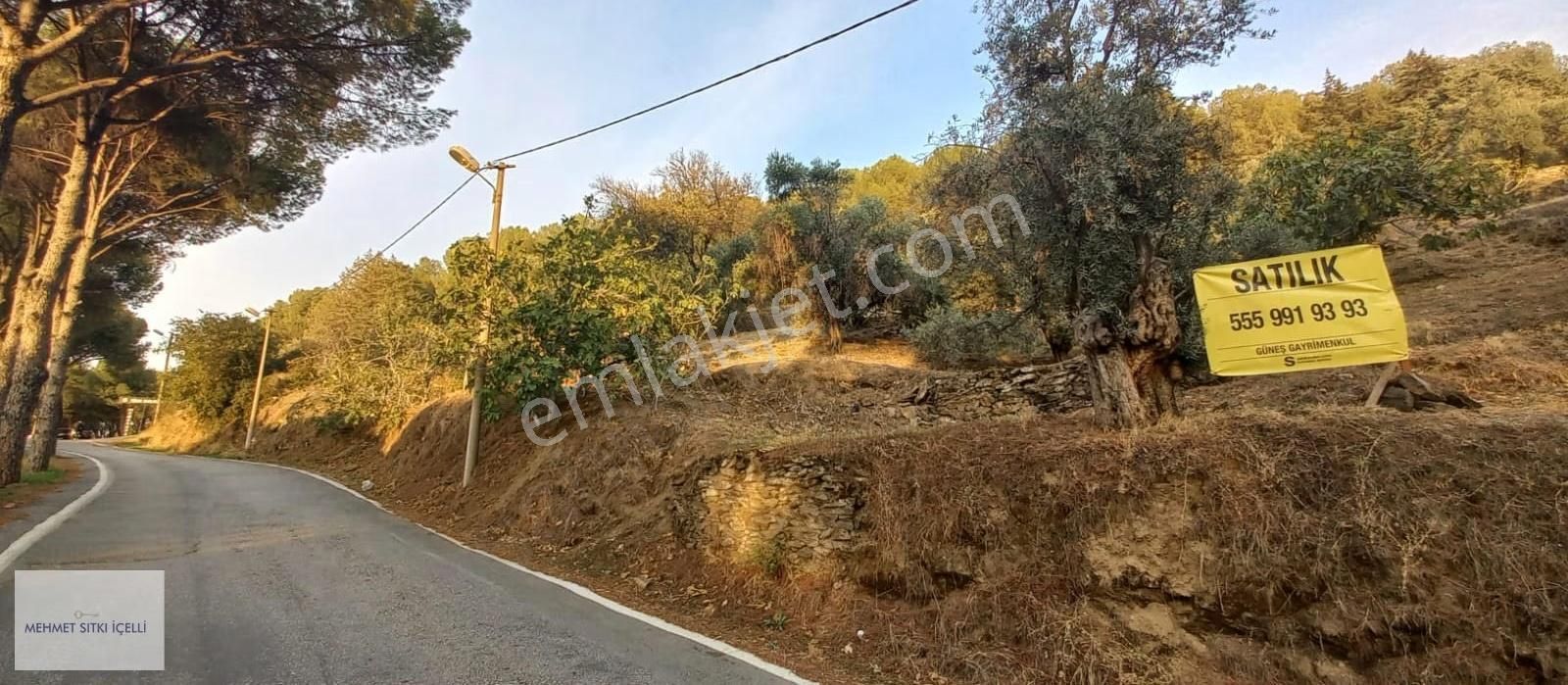 Güneş Gayrimenkulden Tire Toptepe'de Manzaralı 2.355 M² Arsa - Görsel 14