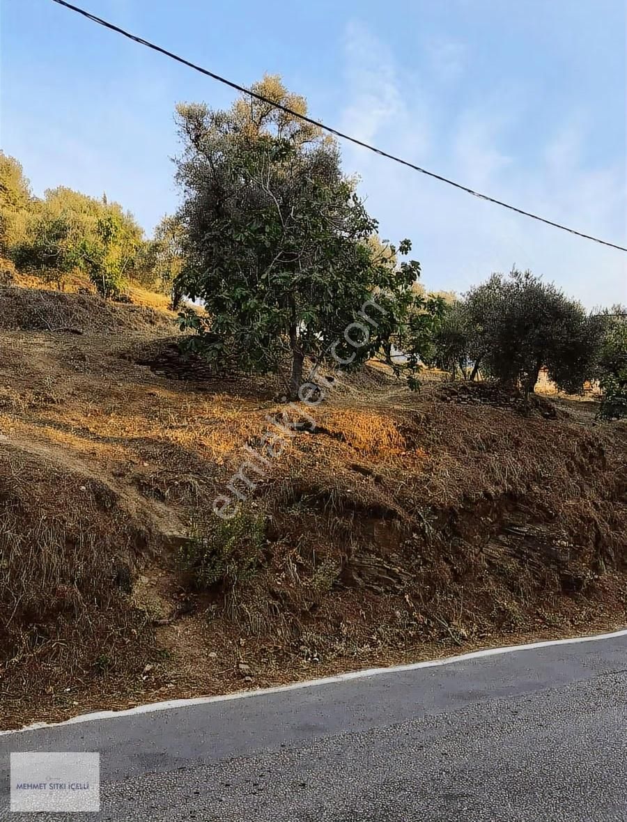 Güneş Gayrimenkulden Tire Toptepe'de Manzaralı 2.355 M² Arsa - Görsel 13