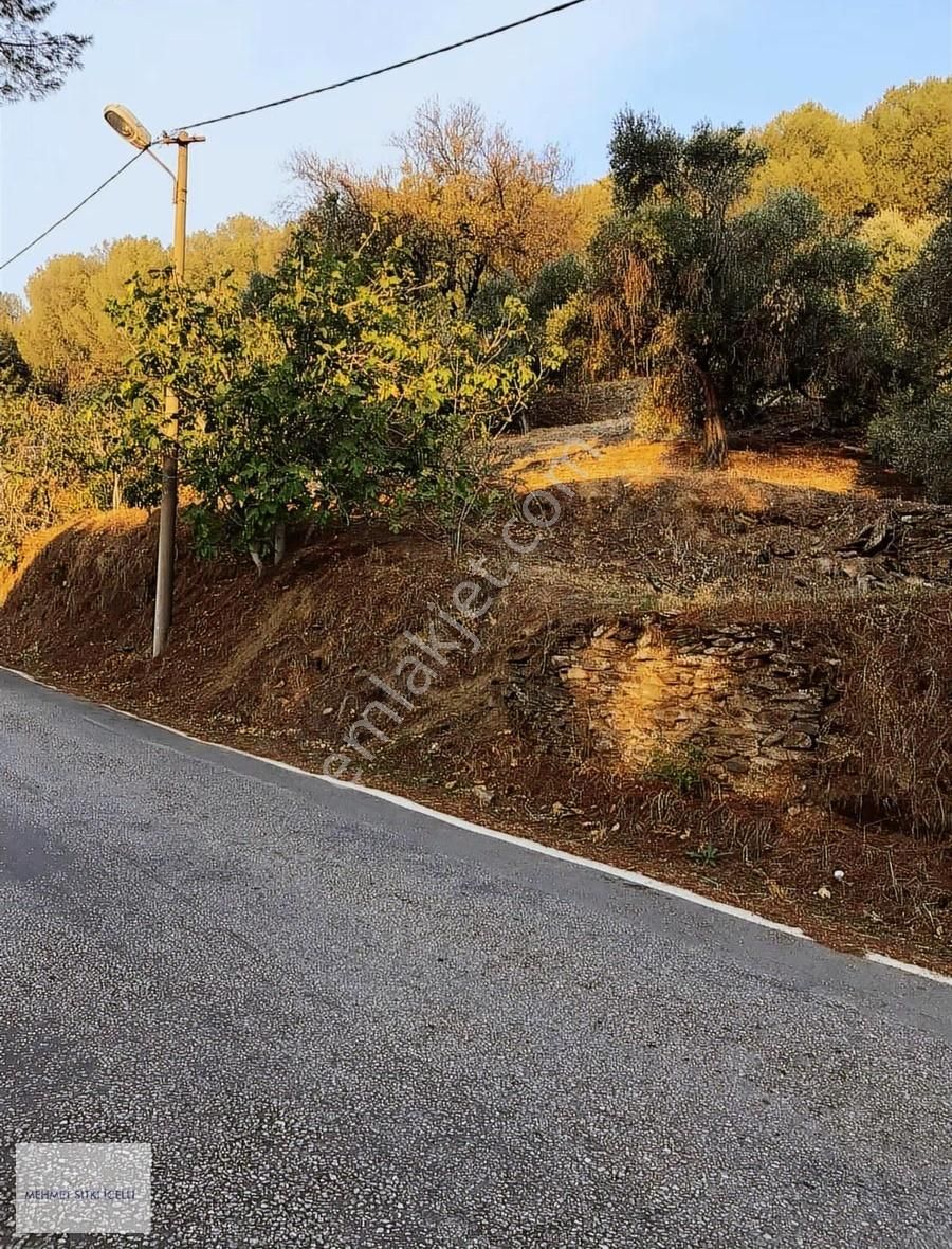 Güneş Gayrimenkulden Tire Toptepe'de Manzaralı 2.355 M² Arsa - Görsel 5