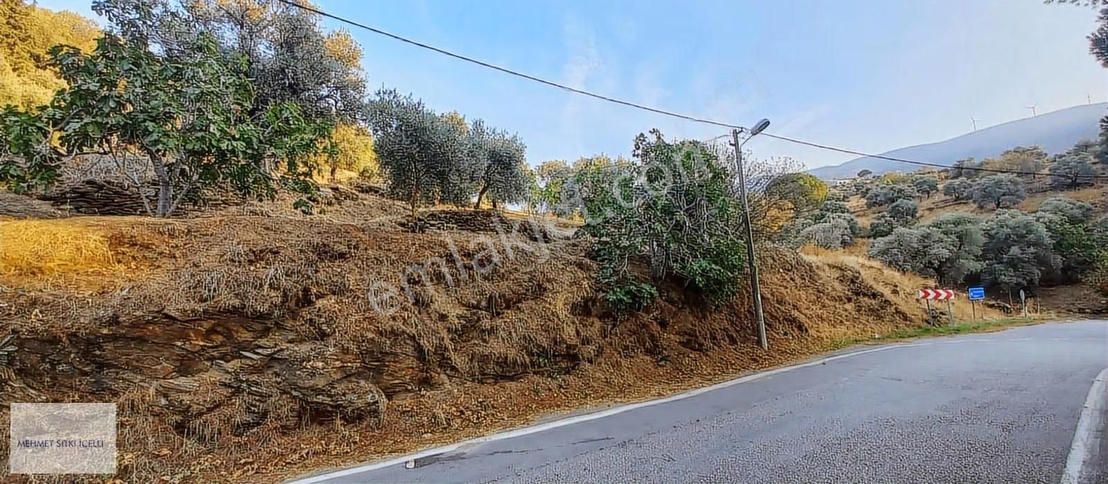 Güneş Gayrimenkulden Tire Toptepe'de Manzaralı 2.355 M² Arsa - Görsel 6