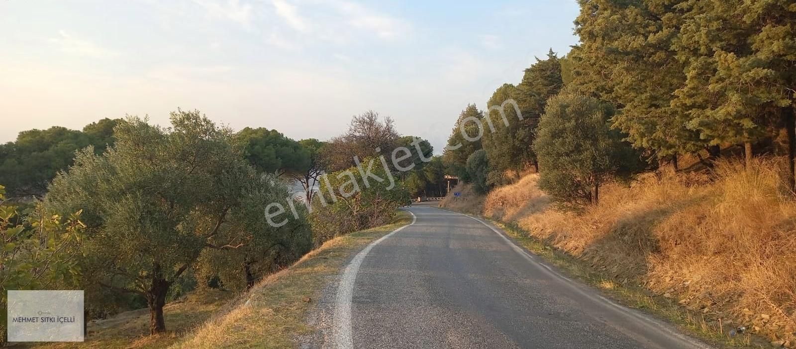 Güneş Gayrimenkulden Tire Toptepe'de Manzaralı 2.355 M² Arsa - Görsel 2