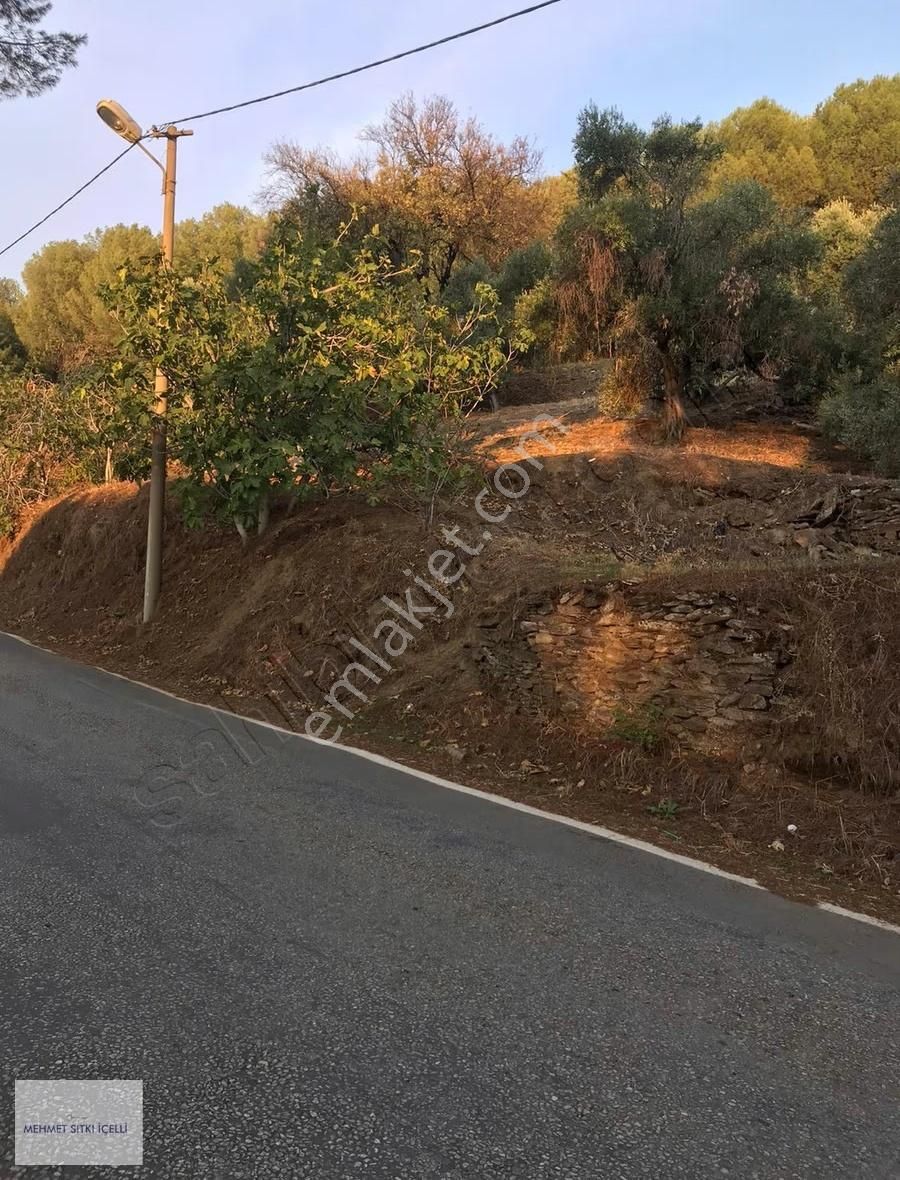 Güneş Gayrimenkulden Tire Toptepe'de Manzaralı 2.355 M² Arsa - Görsel 8
