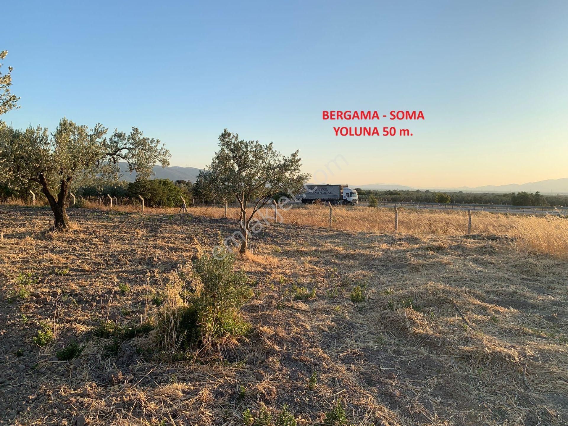 Komutan Emlaktan Kınık Cumalı Da 5950 M2 Yol Üzeri Zeytinlik - Görsel 19