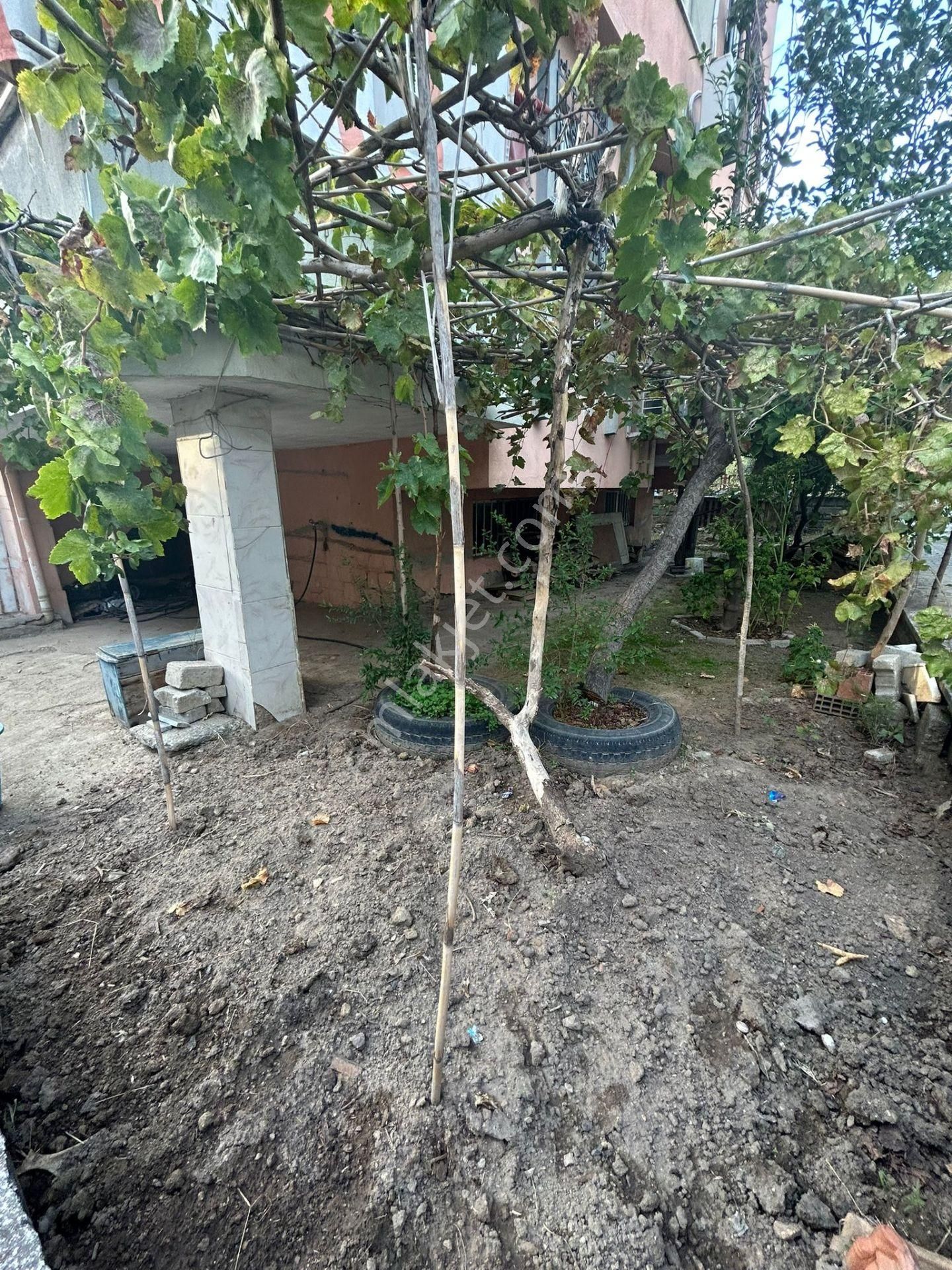 Yeşil Mahallede 4+1 Satılık Müstakil Bahçeli Dublex Bina - Görsel 2