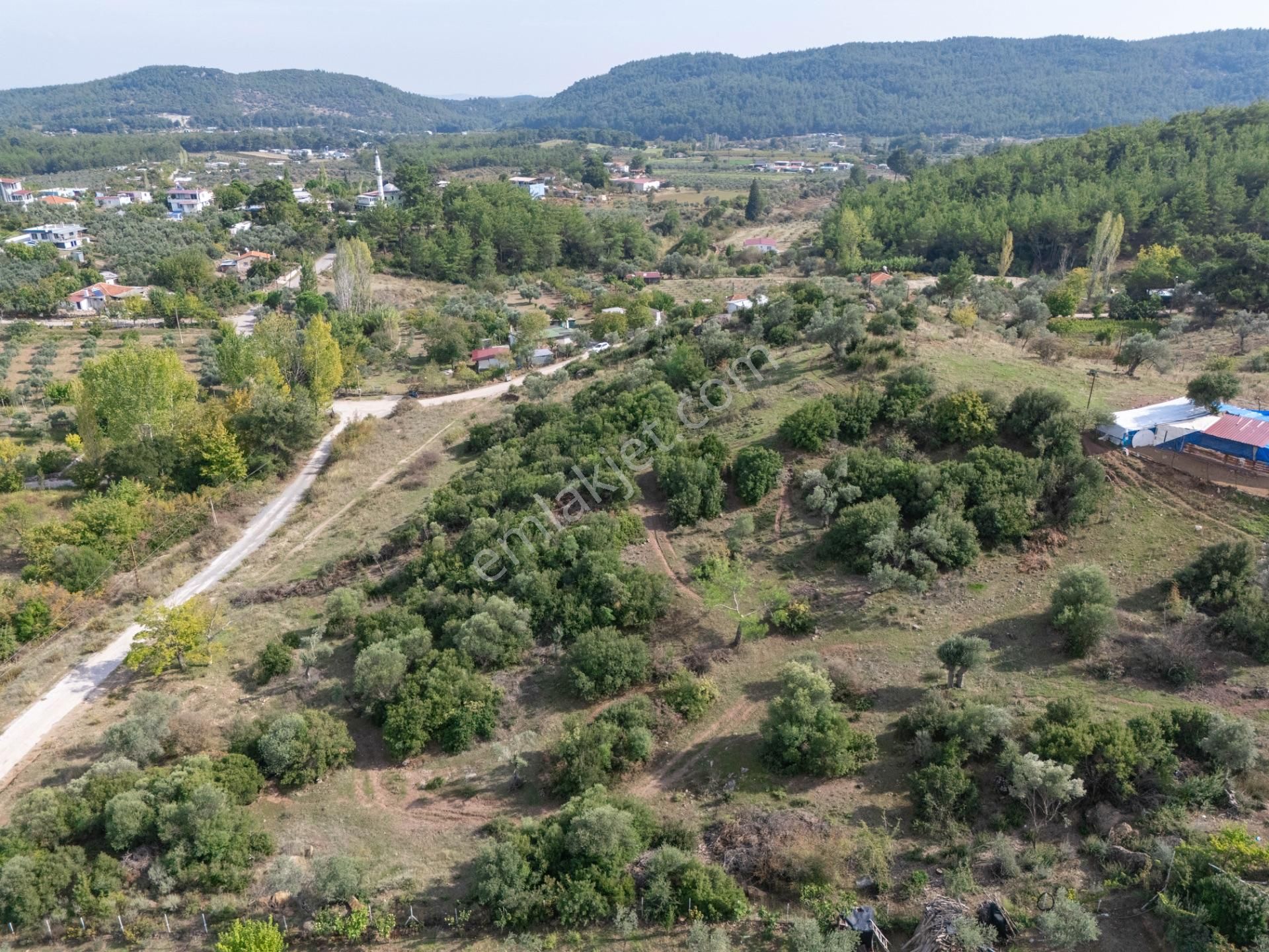Menderes Yeniköy'de Asfalt Yola Cepheli, Tarım Ve Turizm Potansiyelli Satılık Arazi - Görsel 10