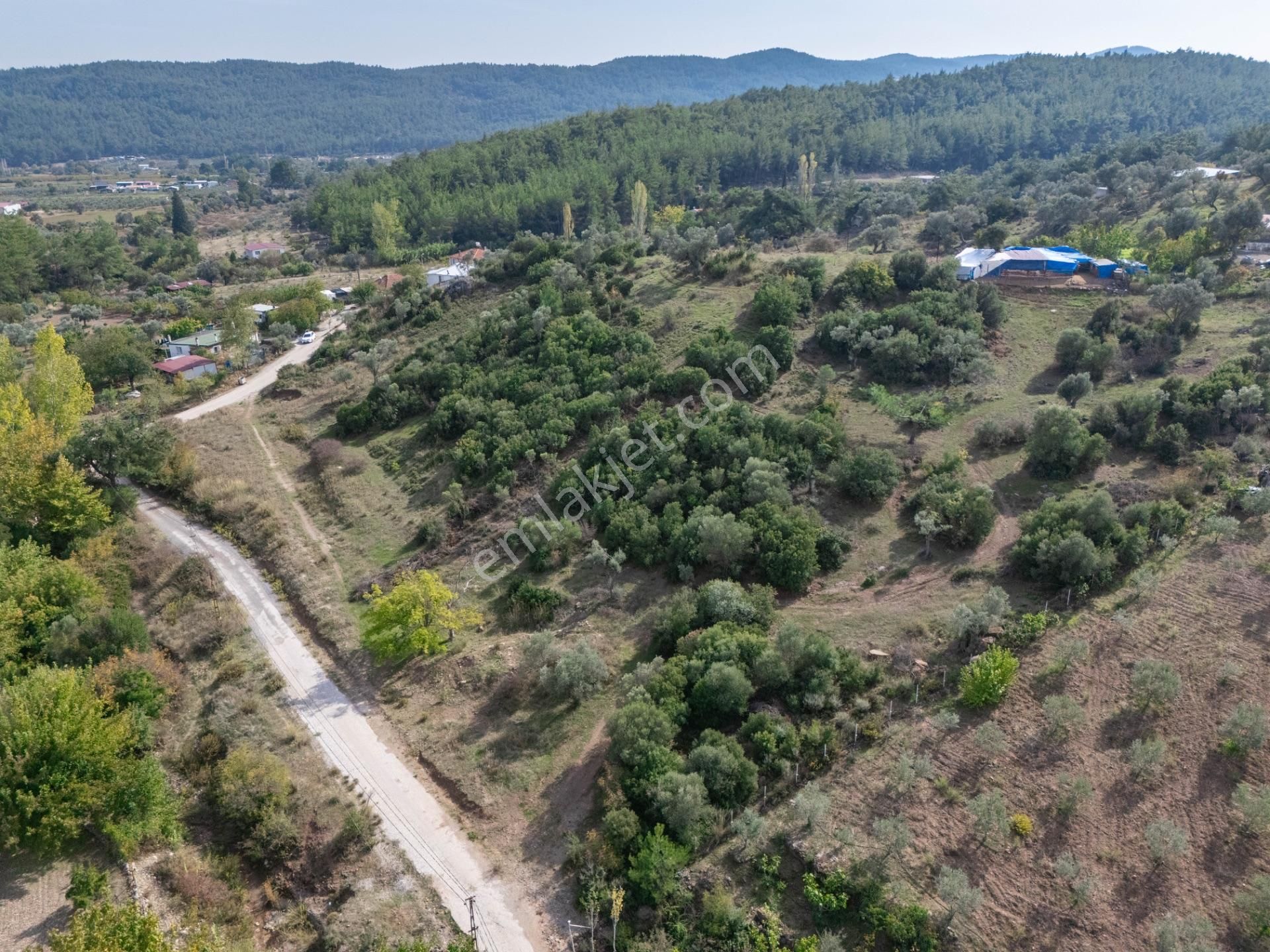 Menderes Yeniköy'de Asfalt Yola Cepheli, Tarım Ve Turizm Potansiyelli Satılık Arazi - Görsel 11