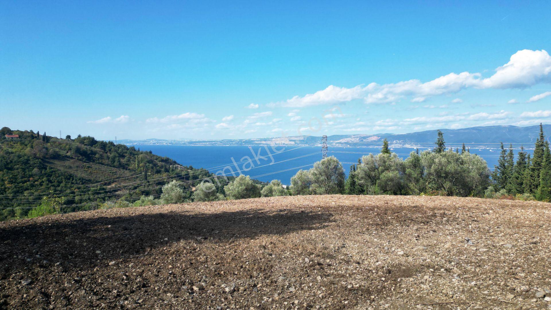 Kocaeli Gölcük A.ulaşlı Satılık 557 M2 Konut İmarlı Arsa - Görsel 14