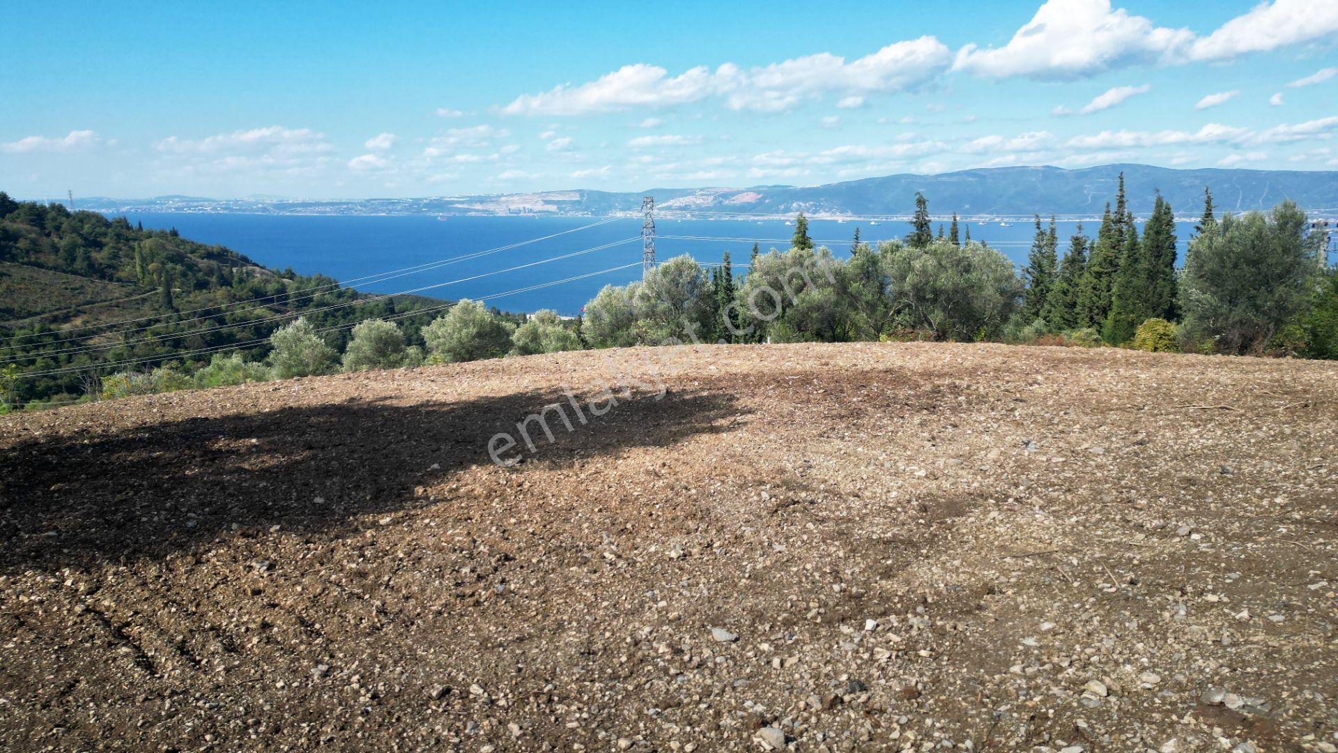 Kocaeli Gölcük A.ulaşlı Satılık 557 M2 Konut İmarlı Arsa - Görsel 2