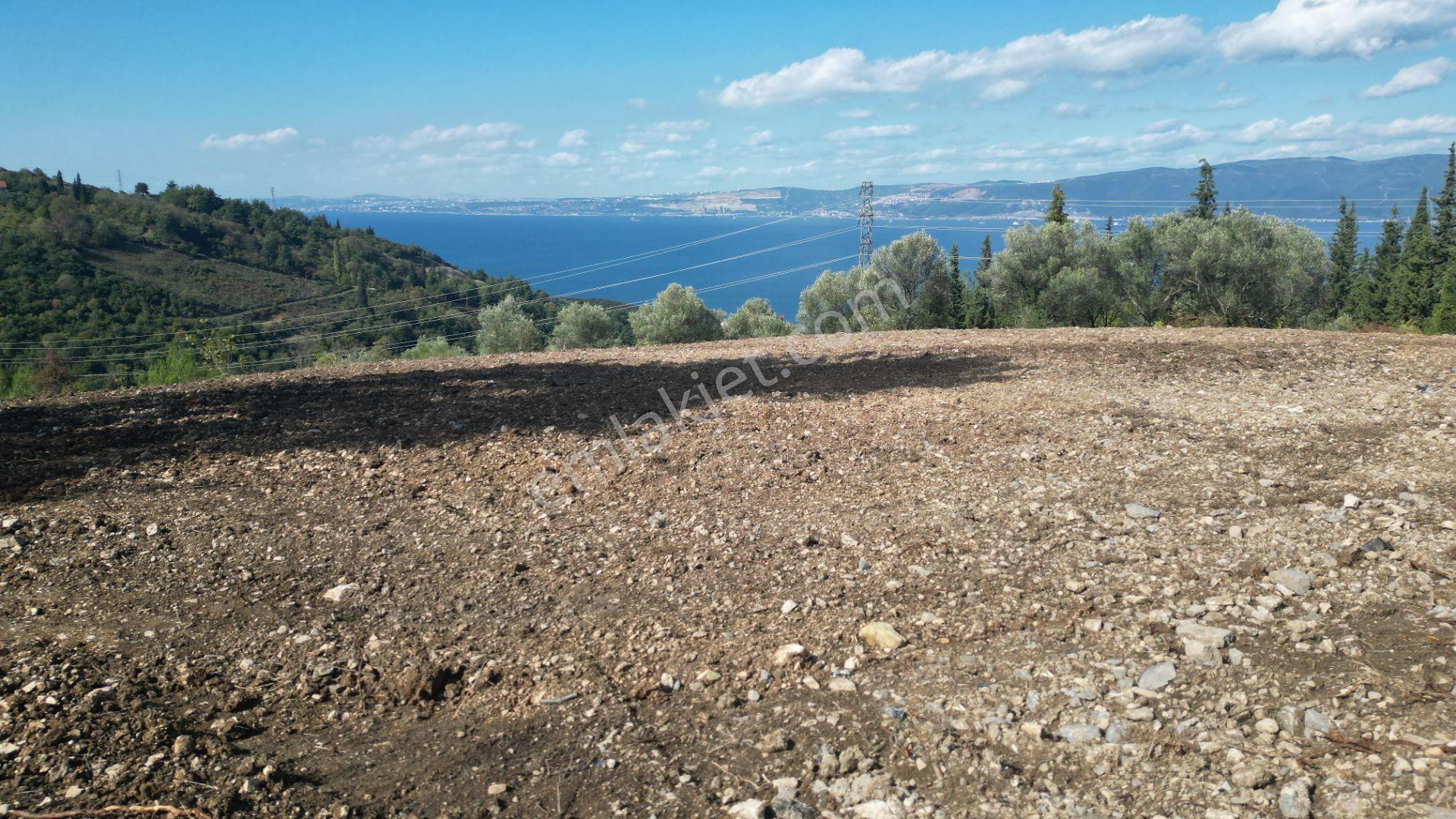 Kocaeli Gölcük A.ulaşlı Satılık 557 M2 Konut İmarlı Arsa - Görsel 8