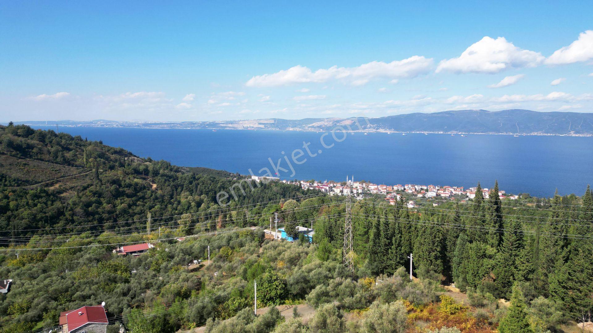Kocaeli Gölcük A.ulaşlı Satılık 557 M2 Konut İmarlı Arsa - Görsel 12
