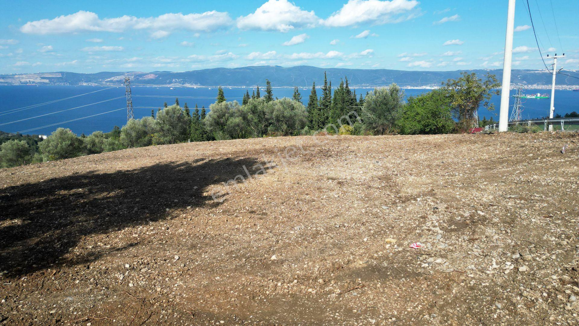 Kocaeli Gölcük A.ulaşlı Satılık 557 M2 Konut İmarlı Arsa - Görsel 9