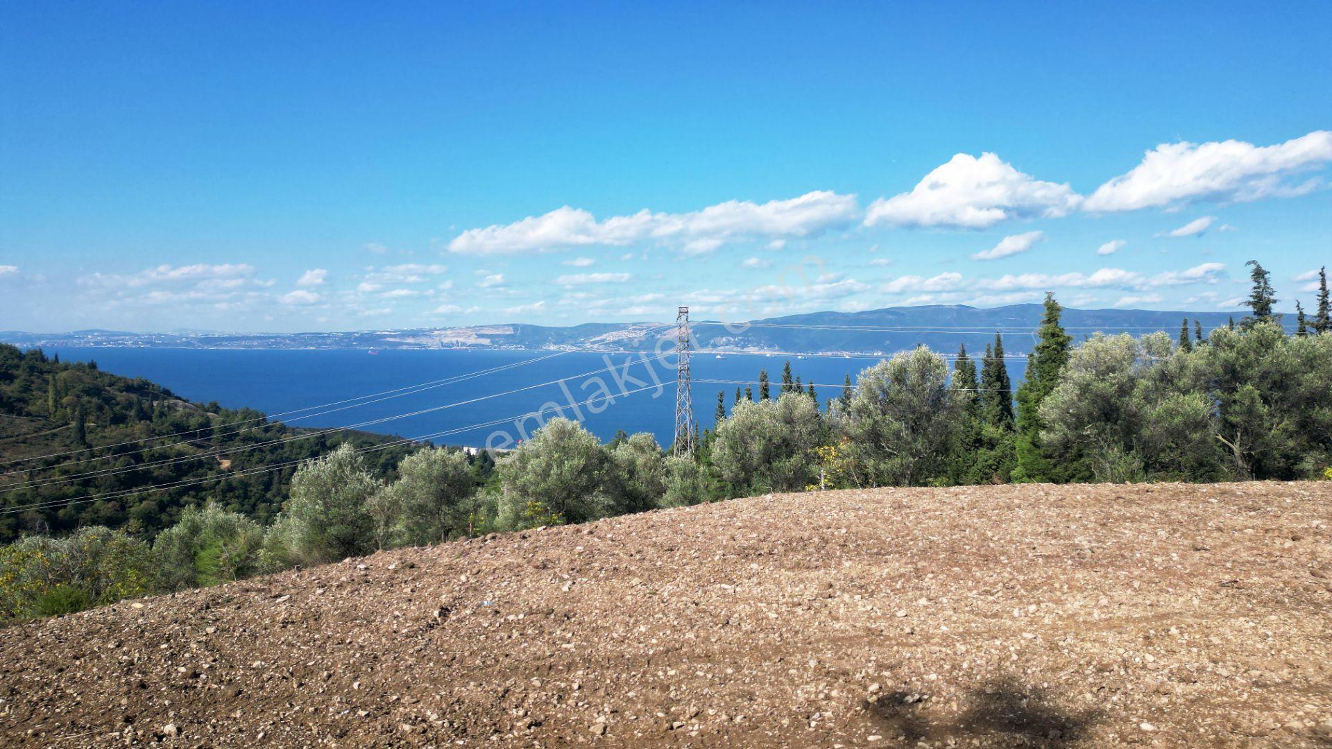 Kocaeli Gölcük A.ulaşlı Satılık 557 M2 Konut İmarlı Arsa - Görsel 10