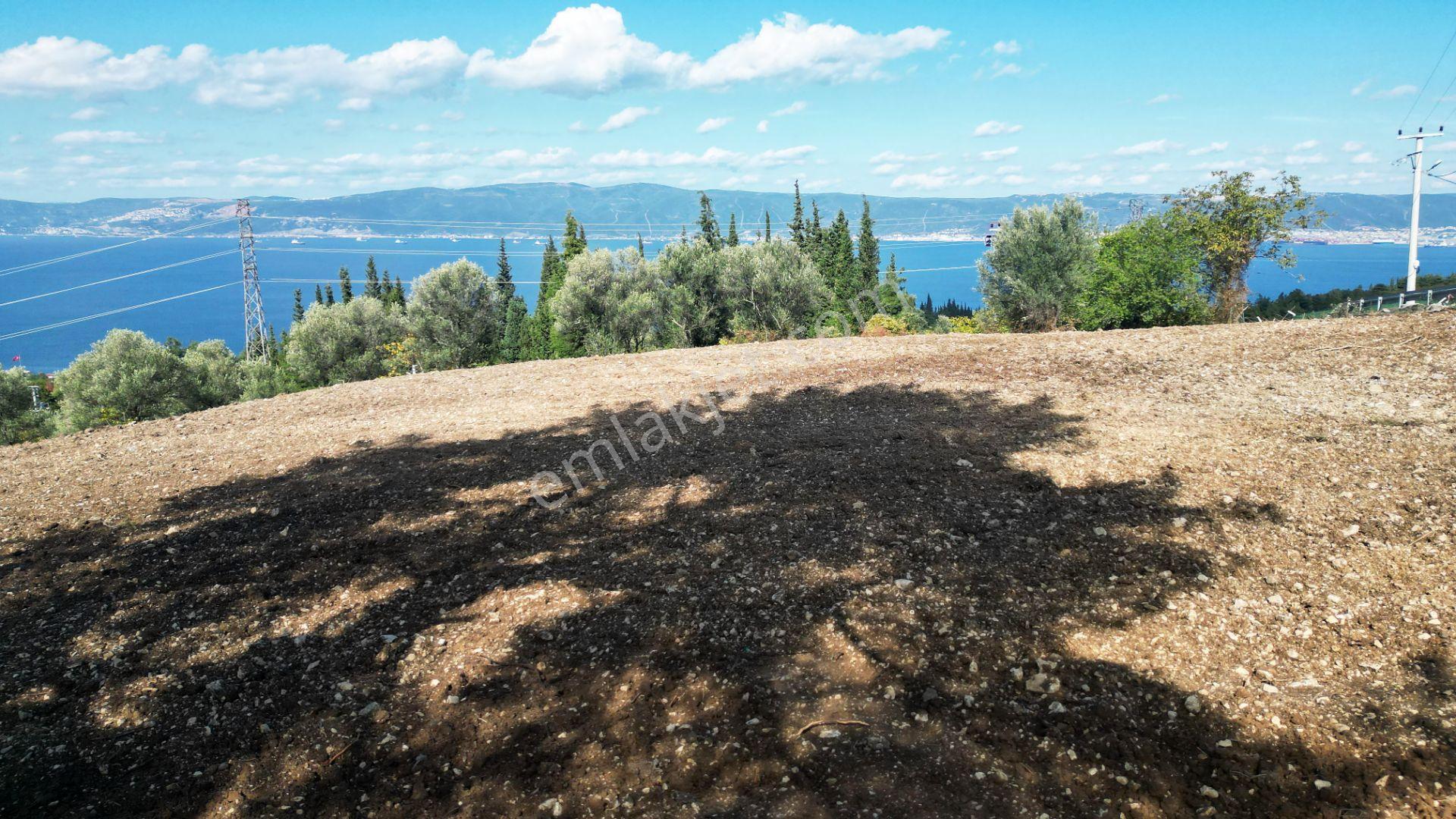 Kocaeli Gölcük A.ulaşlı Satılık 557 M2 Konut İmarlı Arsa - Görsel 15