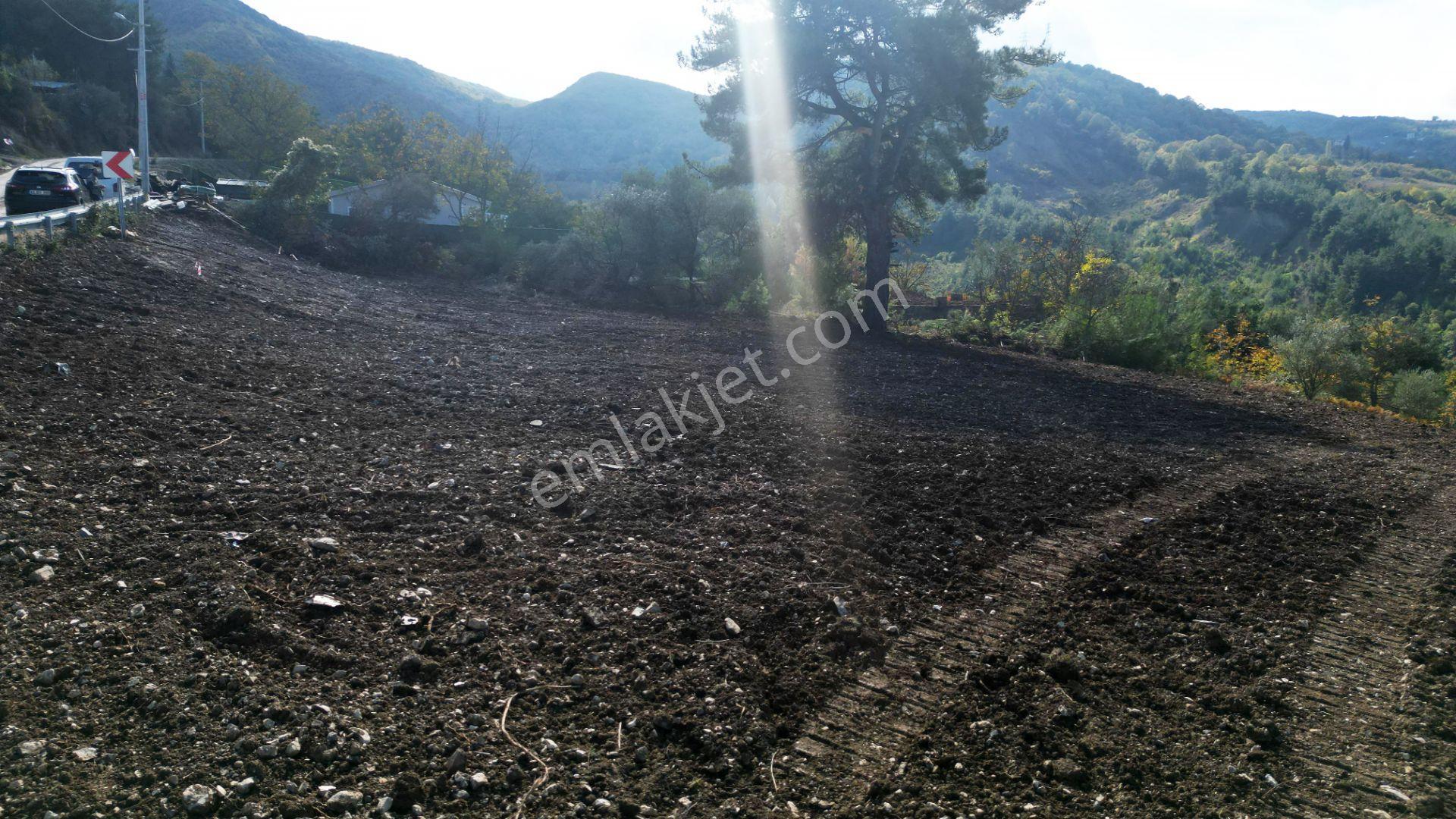 Kocaeli Gölcük A.ulaşlı Satılık 557 M2 Konut İmarlı Arsa - Görsel 11