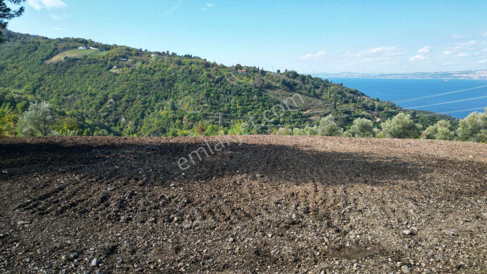 Kocaeli Gölcük A.ulaşlı Satılık 557 M2 Konut İmarlı Arsa - Görsel 13
