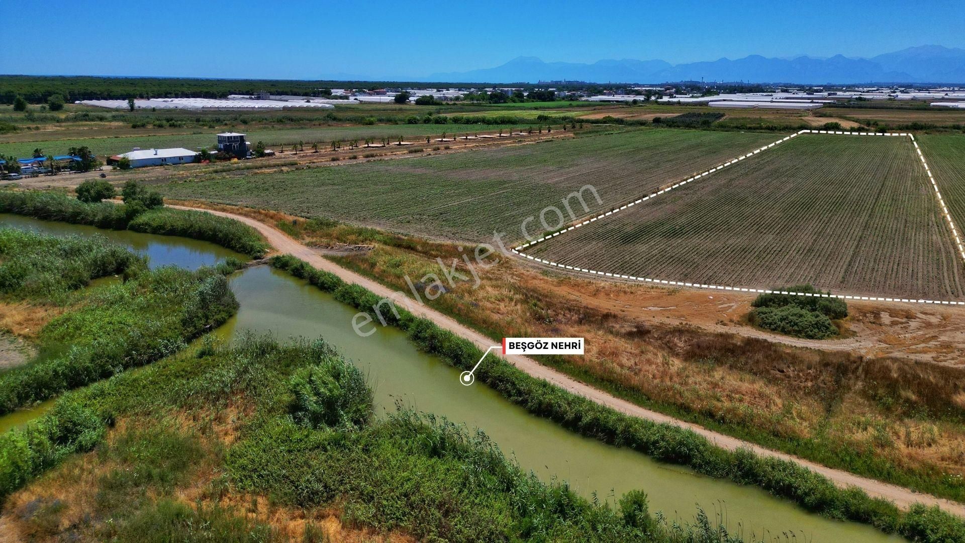 Çakallık, Serik, Antalya'da 18 Dönüm Satılık Arazi - Görsel 4