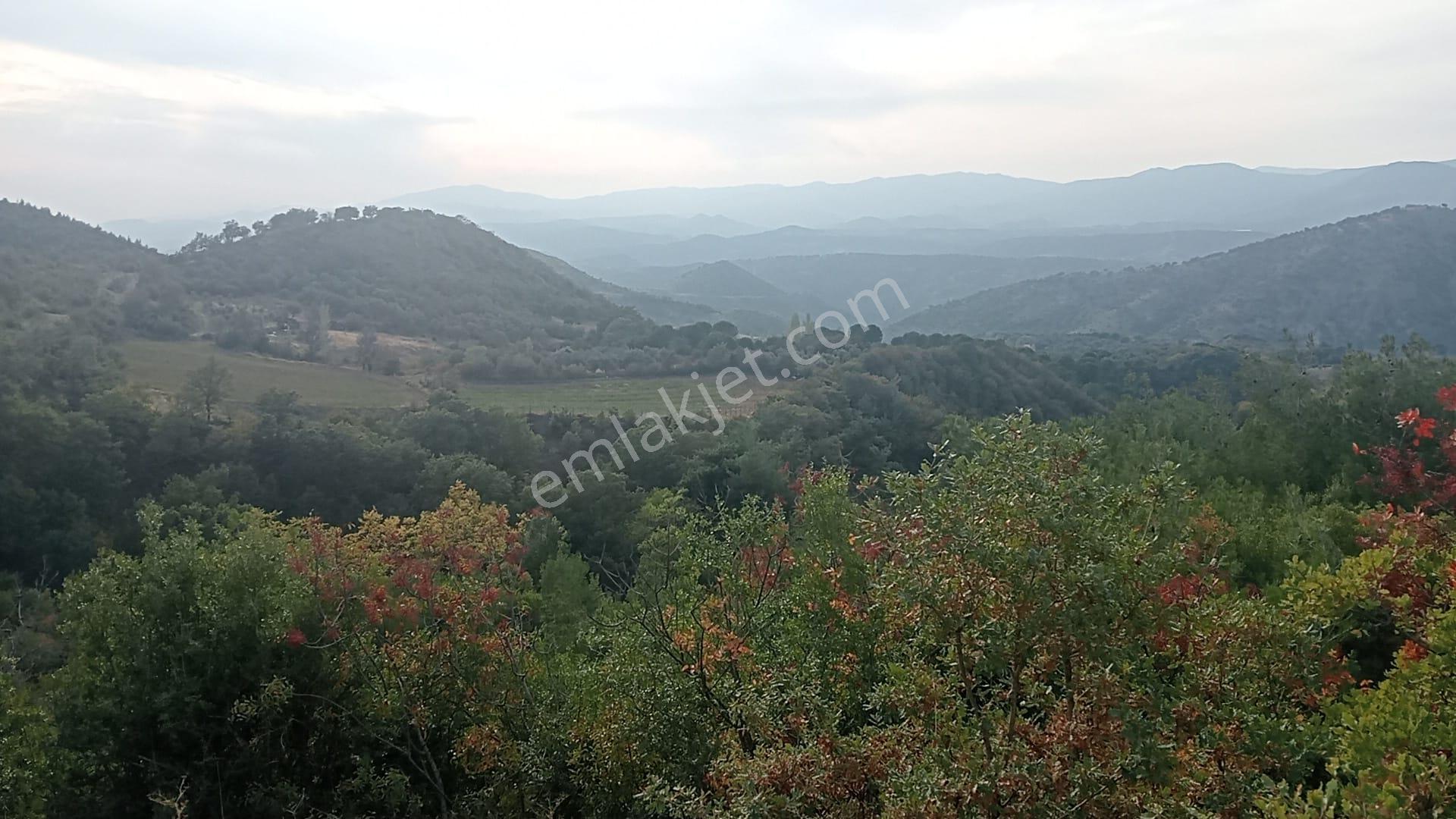 Komutan Emlaktan Durmuşlar Da 4362 M2 Doğal Yaşam Alanı - Görsel 10