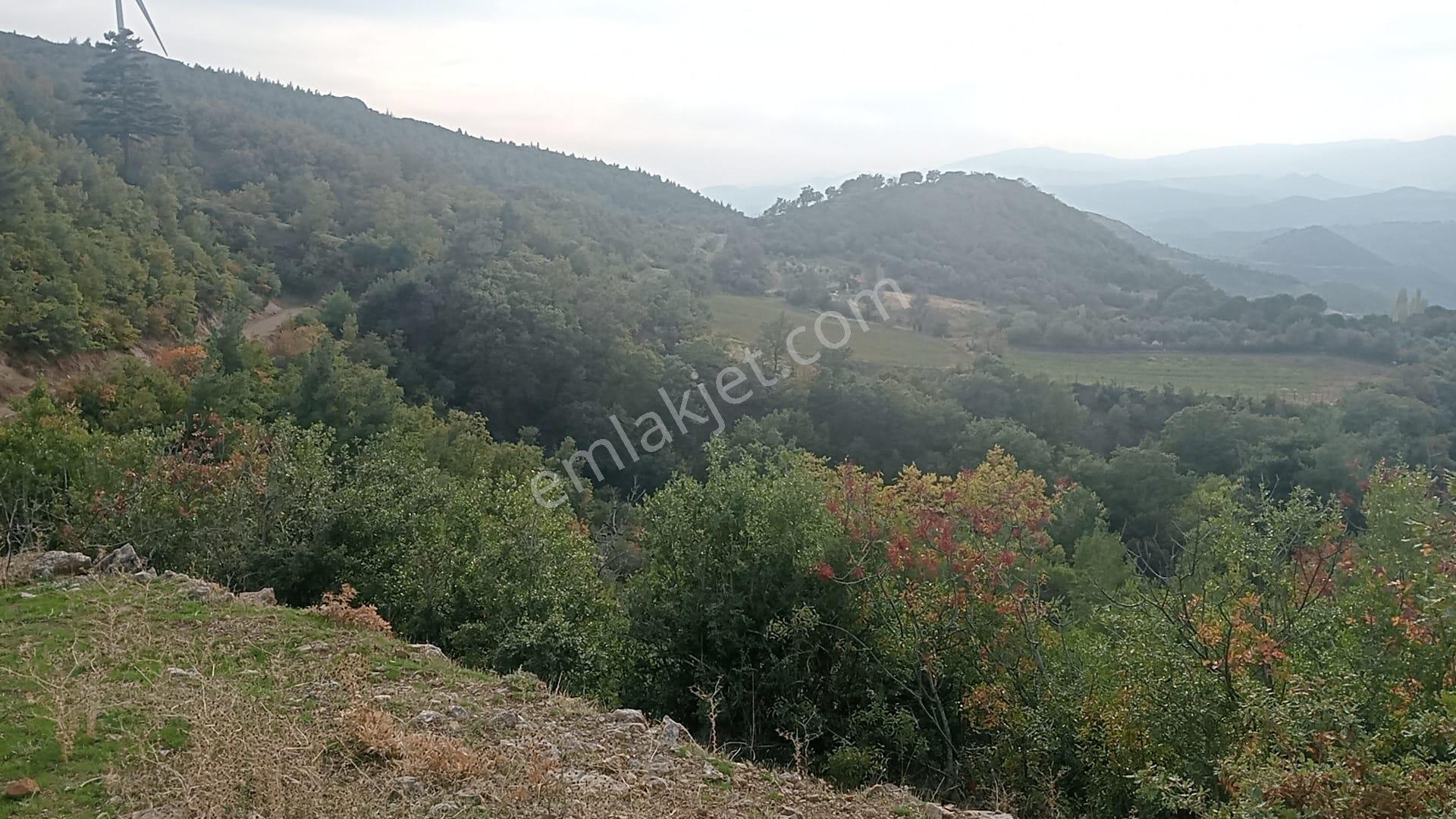 Komutan Emlaktan Durmuşlar Da 4362 M2 Doğal Yaşam Alanı - Görsel 11
