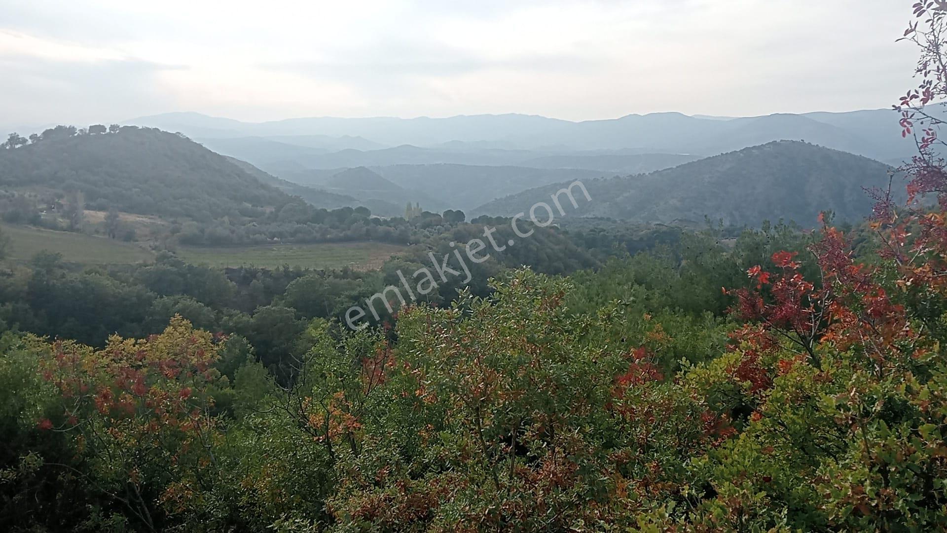 Komutan Emlaktan Durmuşlar Da 4362 M2 Doğal Yaşam Alanı - Görsel 7