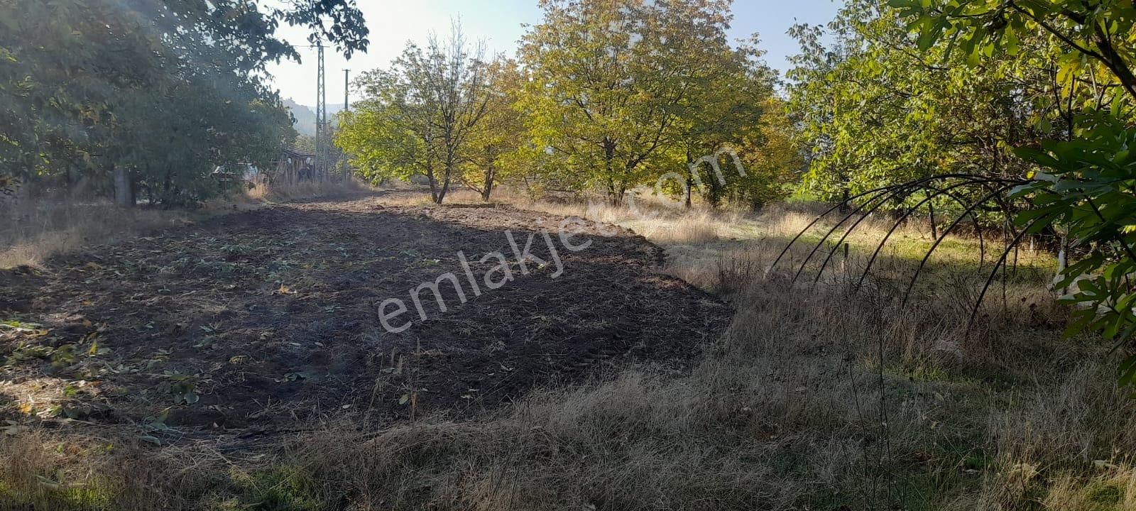 Burdur Ağlasun Hisarköy'de Satılık Bahçeli Ev - Görsel 14