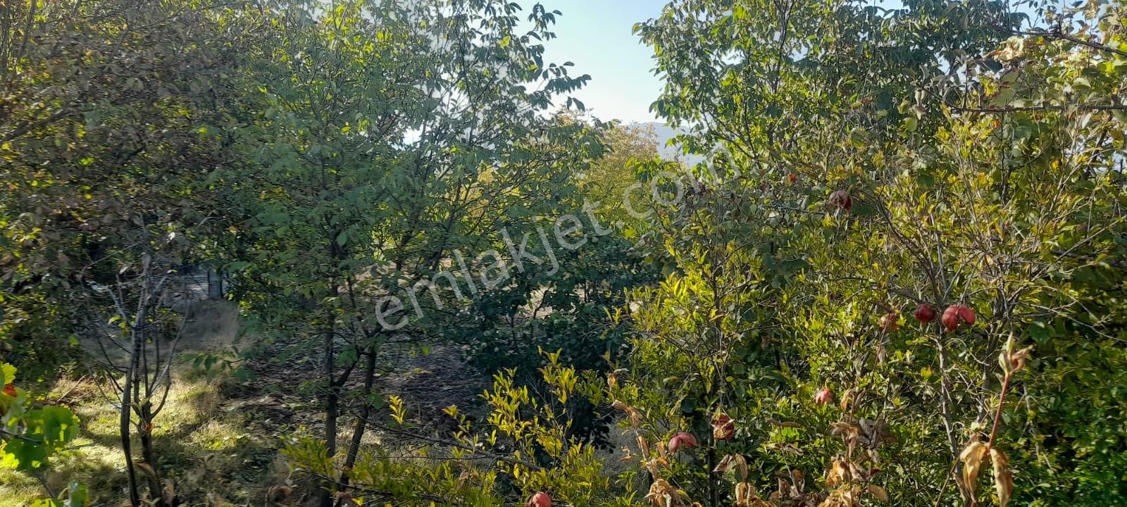 Burdur Ağlasun Hisarköy'de Satılık Bahçeli Ev - Görsel 15