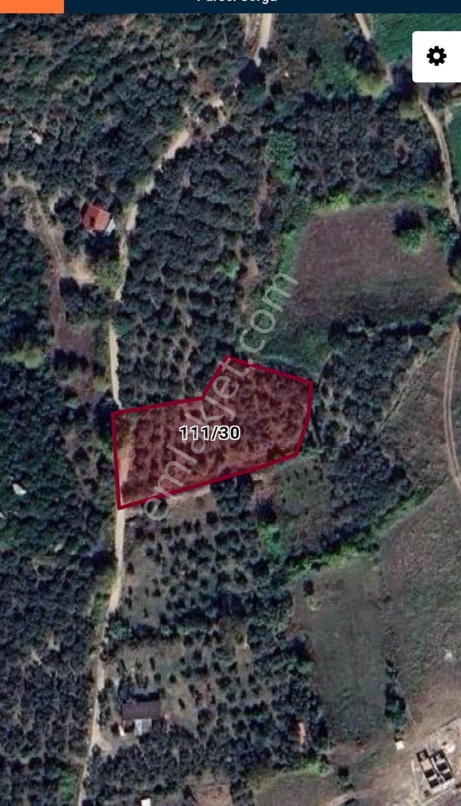 Se&as Exclusıve: Doğanlarda Yatırımlık Fırsat Zeytinlik! - Görsel 7